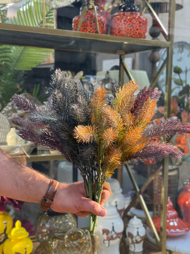 گل سرخس جارویی