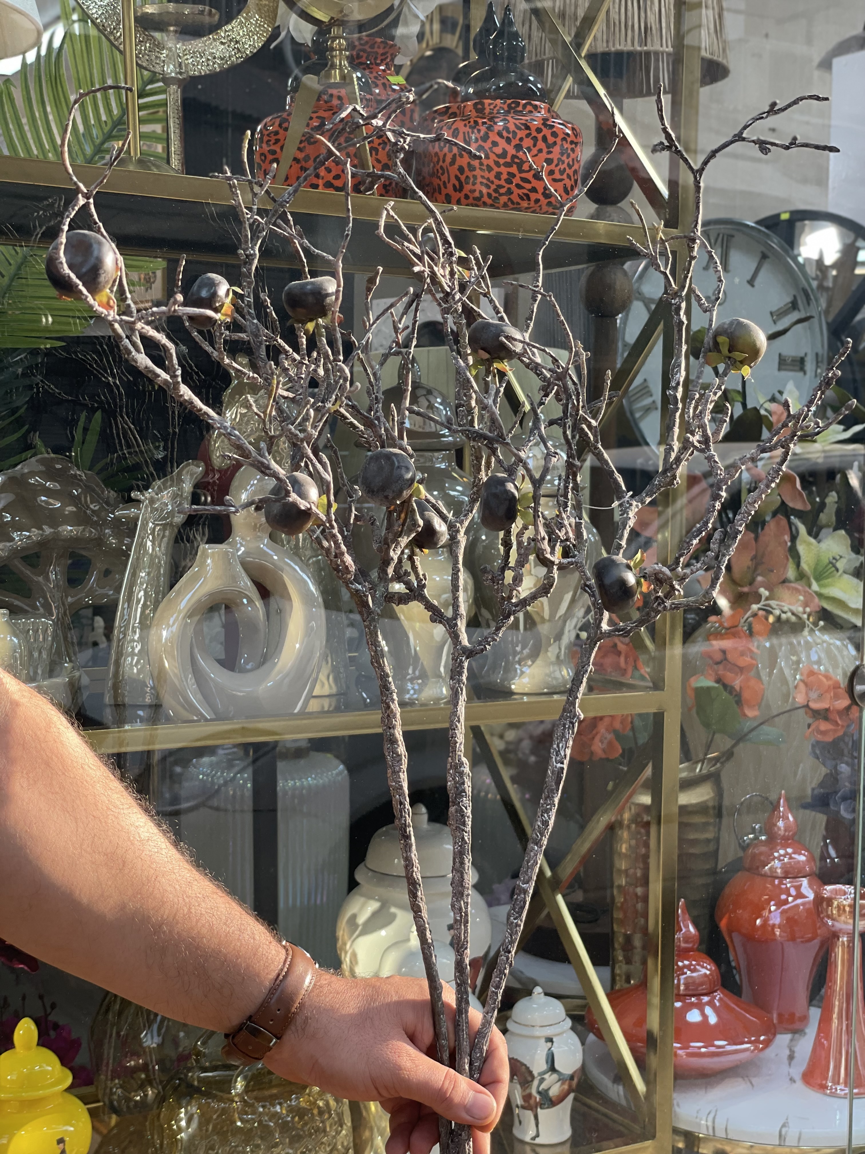 شاخه بلوط وارداتی