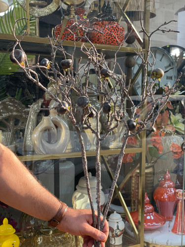 شاخه بلوط وارداتی