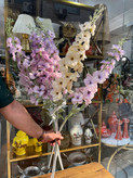 گل شبو سلطنتی ۱۴۰سانتی وارداتی