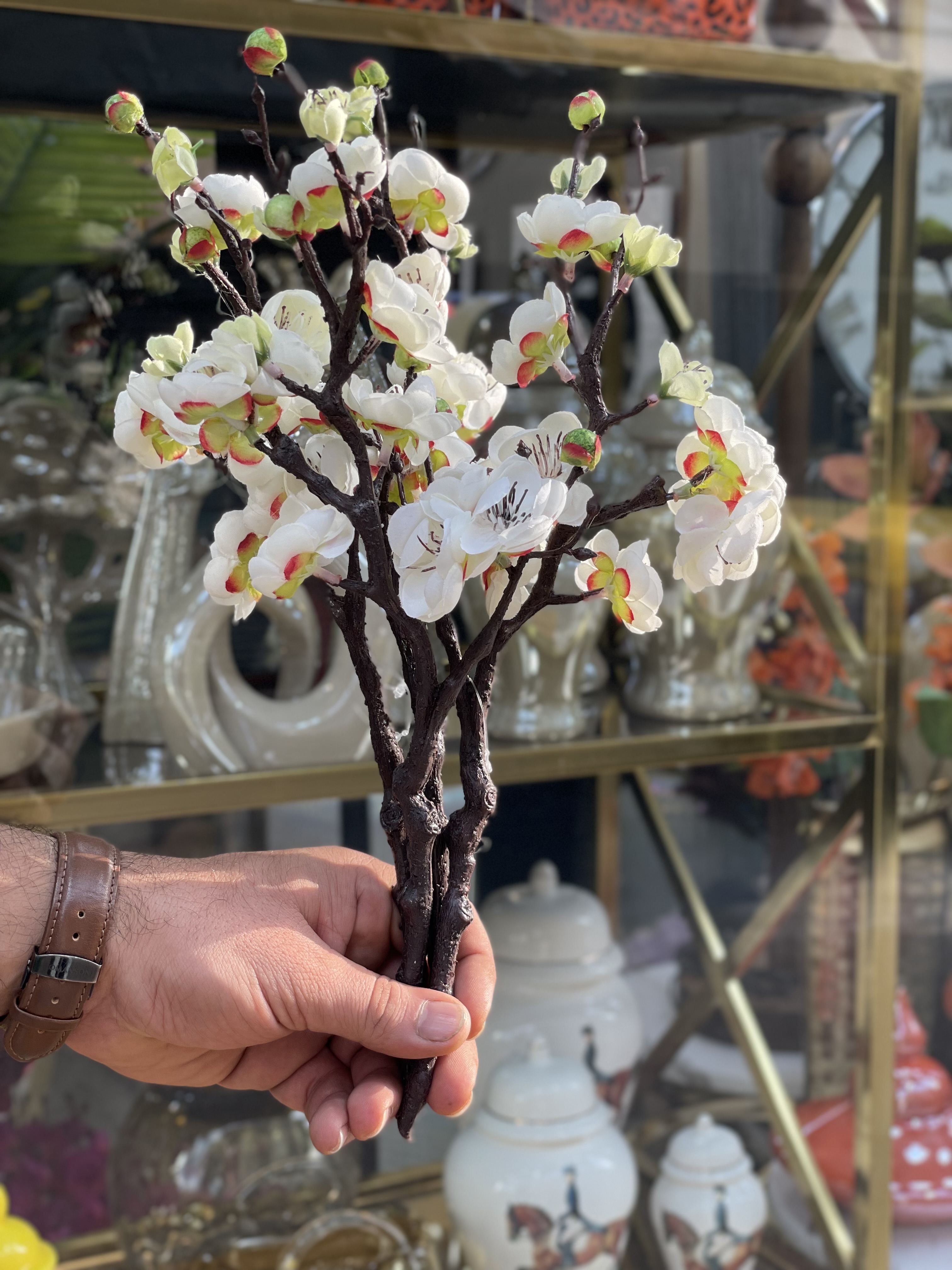 شکوفه ژاپنی مینیاتوری وارداتی