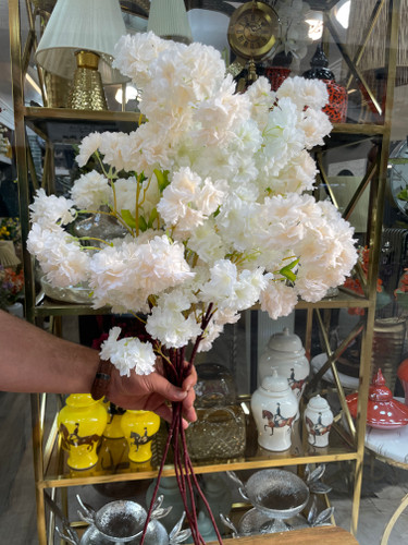 شاخه هلو پربار وارداتی ۹۰سانتی