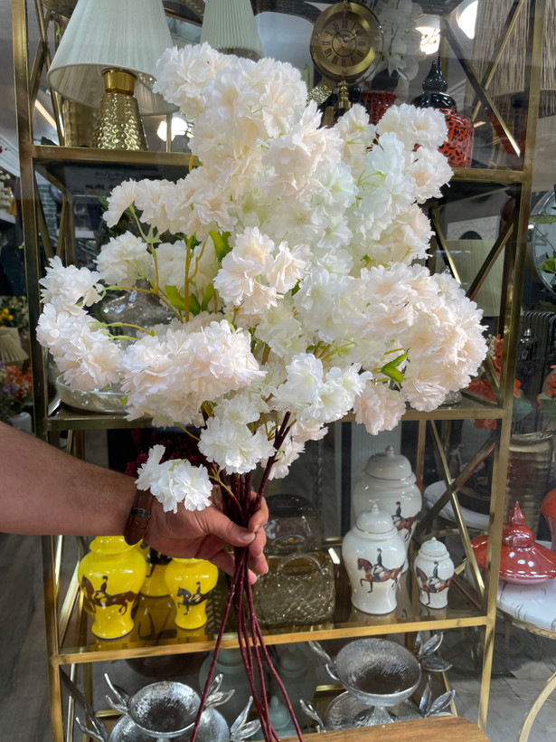 شاخه هلو پربار وارداتی ۹۰سانتی