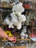 شاخه هلو پربار وارداتی ۹۰سانتی