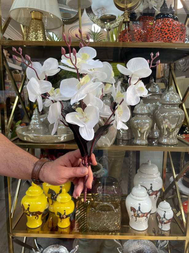 گل ارکیده دسته ای وارداتی