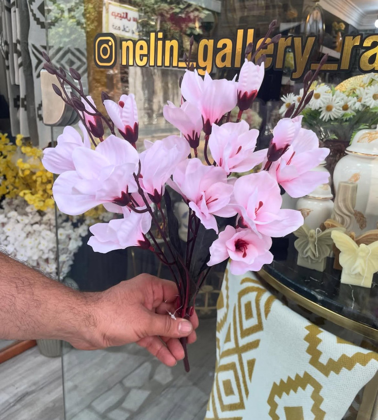 گل آلستر دسته ای وارداتی