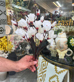 گل آلستر دسته ای وارداتی