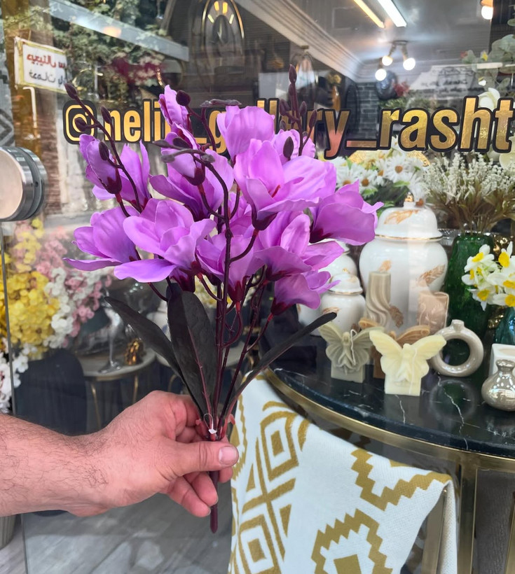 گل آلستر دسته ای وارداتی