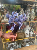 گل آلستر دسته ای وارداتی