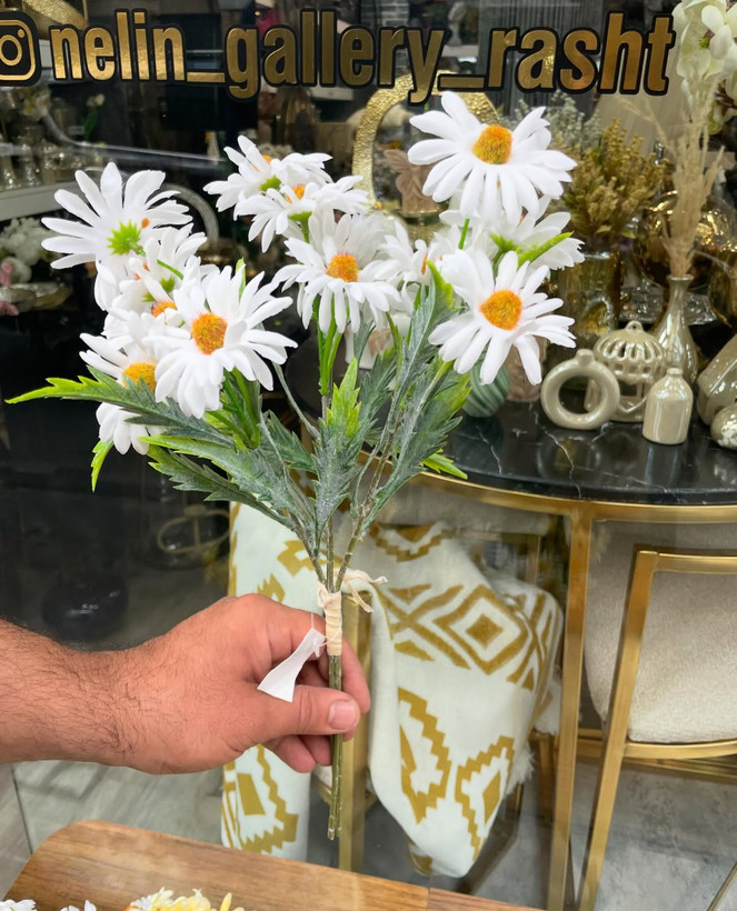 گل بابونه درشت وارداتی