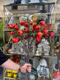 شاخه انار پاییزی وارداتی