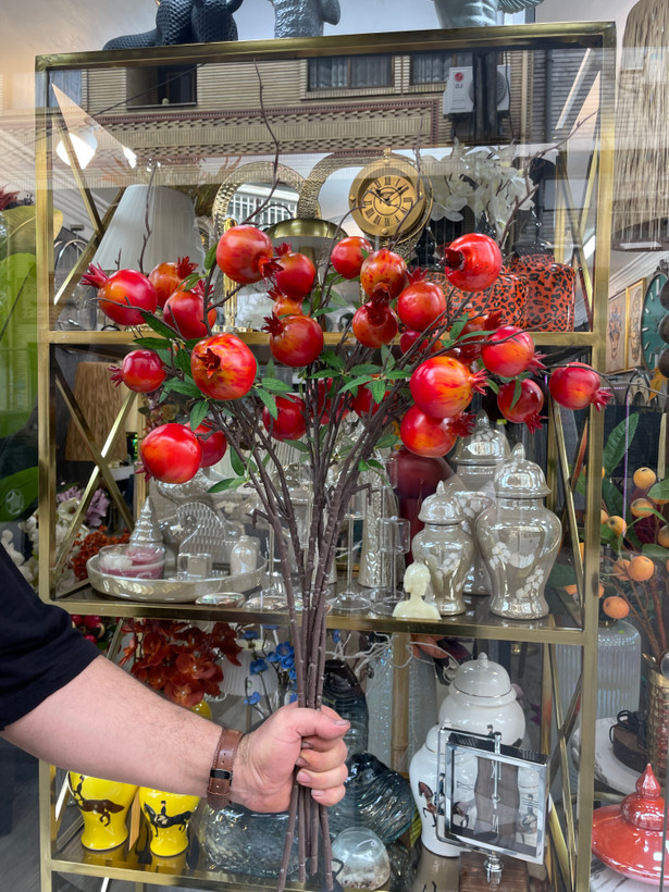 شاخه انار پاییزی وارداتی