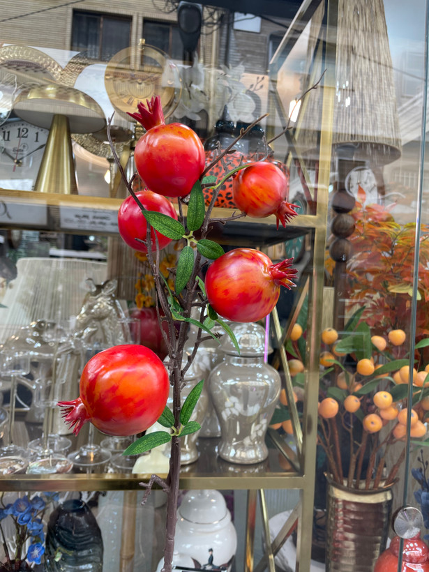 شاخه انار پاییزی وارداتی