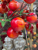 شاخه انار پاییزی وارداتی