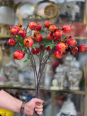 شاخه انار پاییزی وارداتی