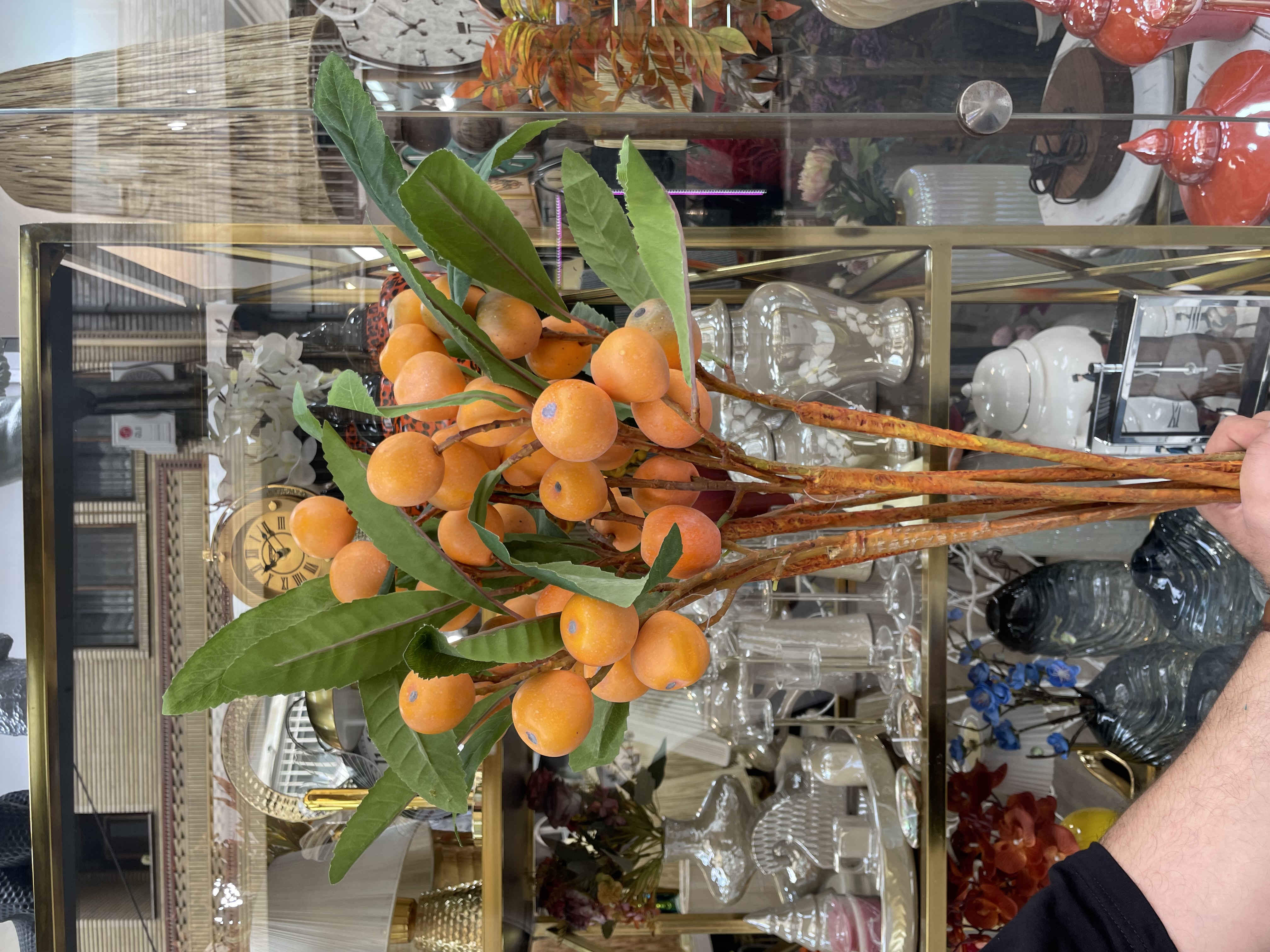 شاخه ازگیل پاییزی وارداتی