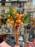 شاخه ازگیل پاییزی وارداتی