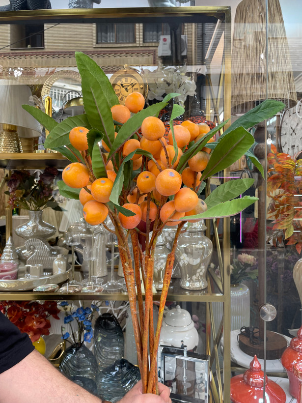 شاخه ازگیل پاییزی وارداتی