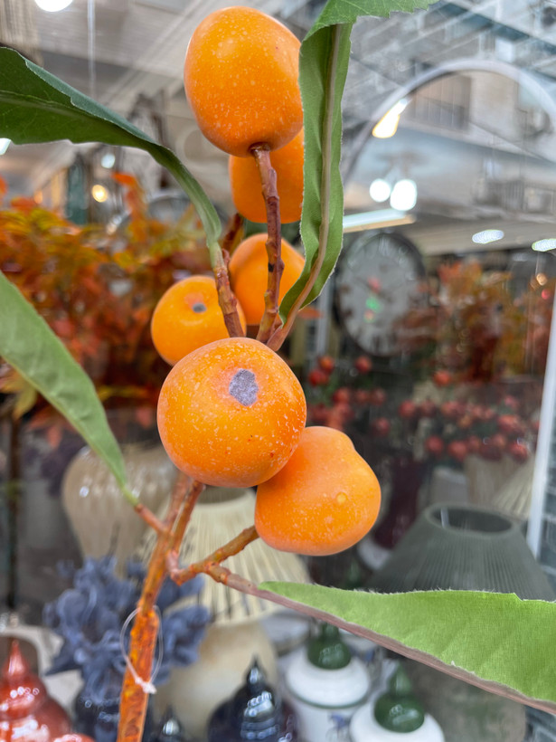 شاخه ازگیل پاییزی وارداتی
