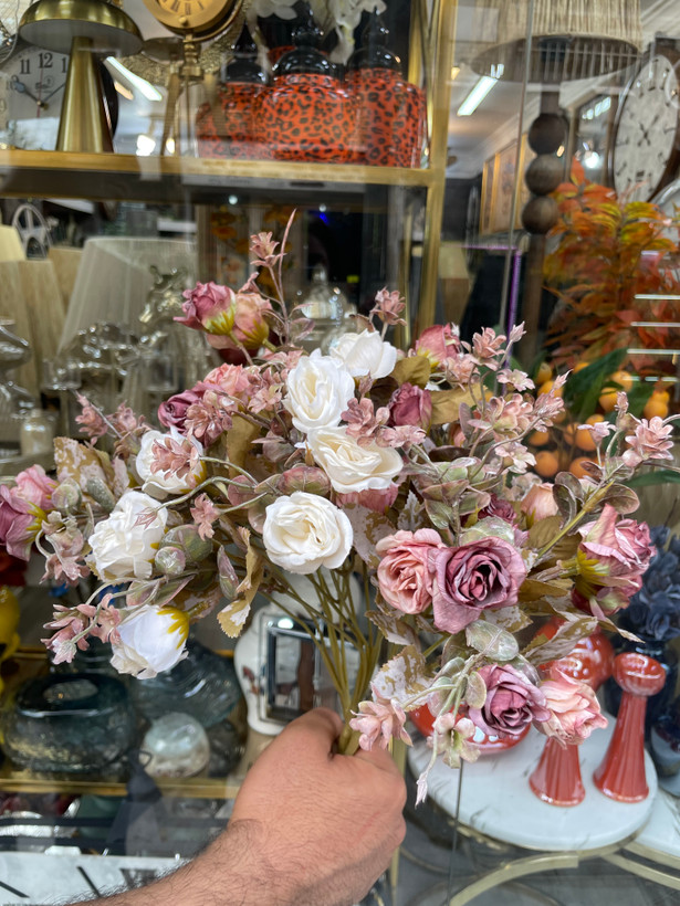 بوته رز ۱۴گل پاییزی وارداتی