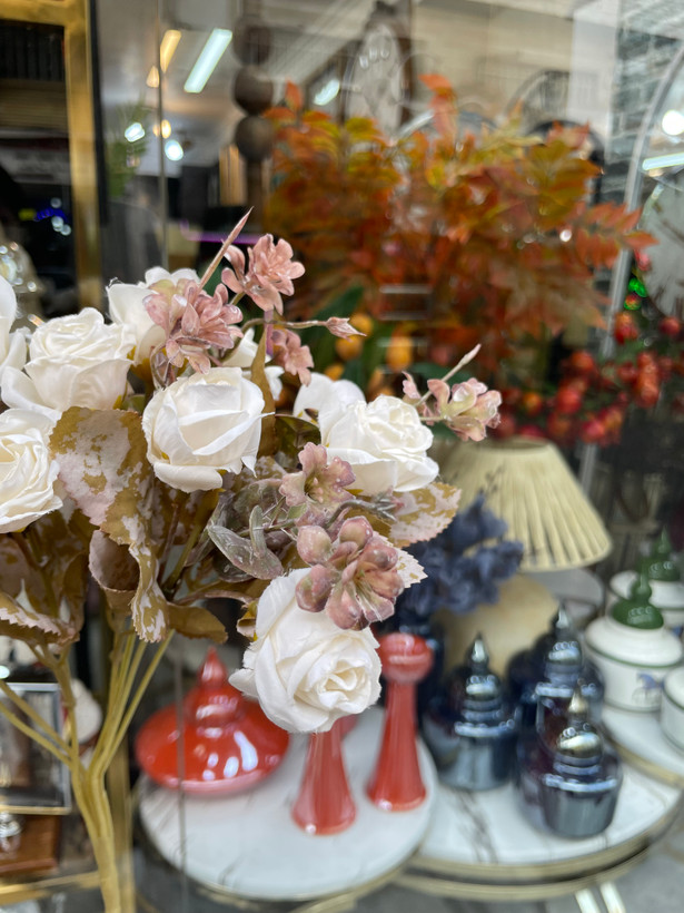 بوته رز ۱۴گل پاییزی وارداتی