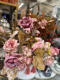 بوته رز ۱۴گل پاییزی وارداتی