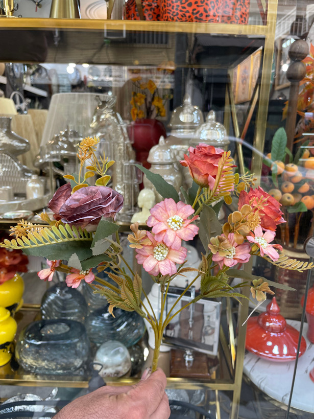 بوته رز و مینا میکس وارداتی