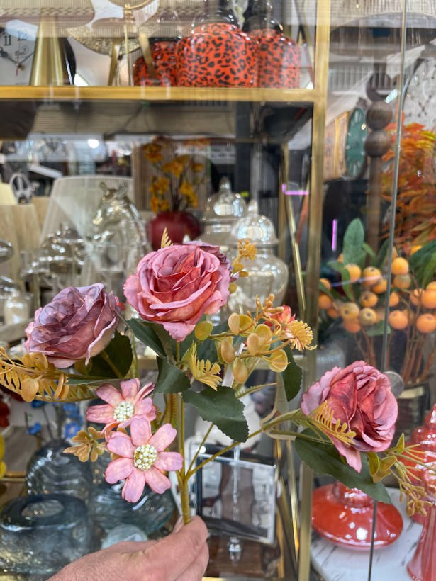 بوته رز و مینا میکس وارداتی