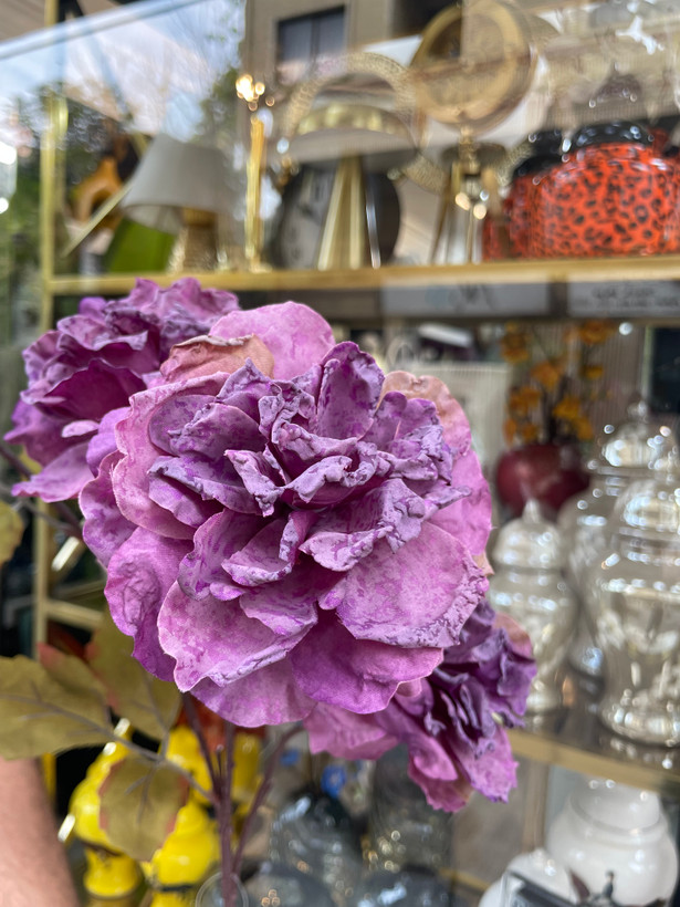 شاخه پئونی سوخته چروک وارداتی