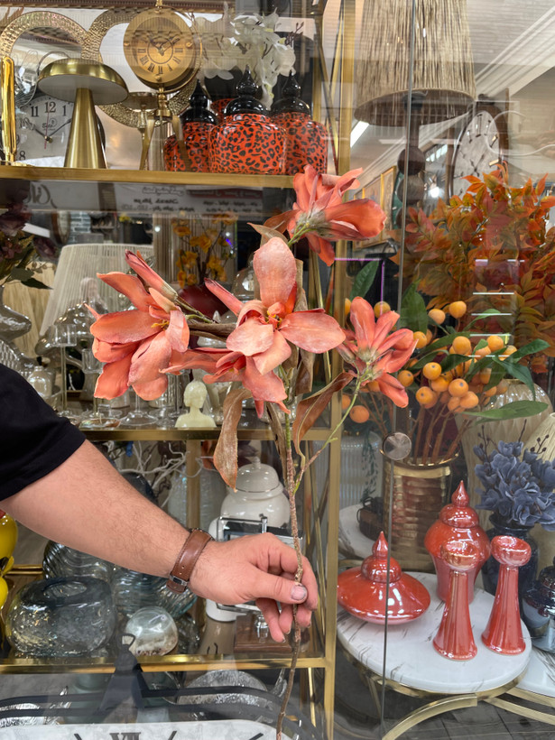 شاخه آلستر سوخته وارداتی