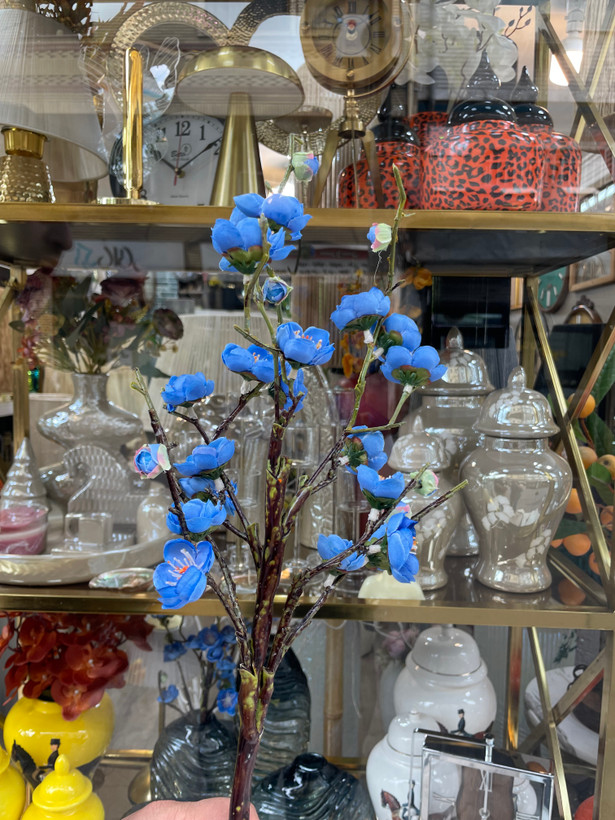 شکوفه ژاپنی وارداتی