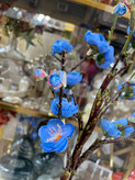 شکوفه ژاپنی وارداتی