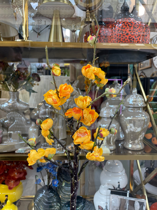 شکوفه ژاپنی وارداتی