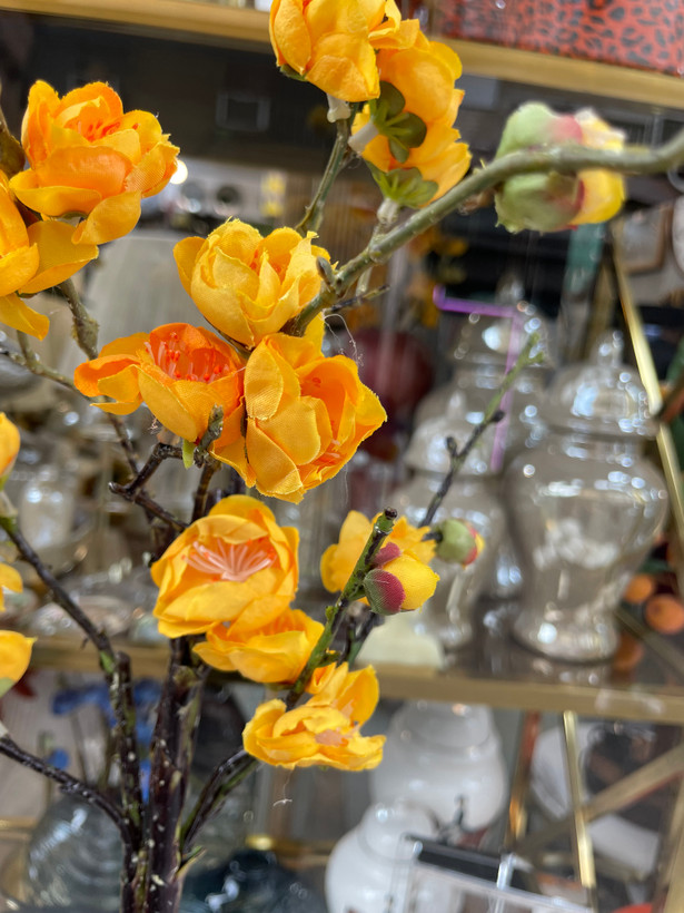 شکوفه ژاپنی وارداتی